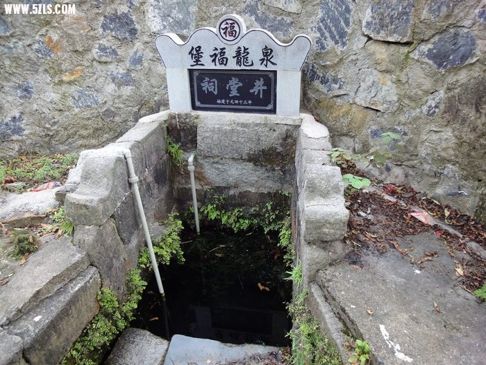 DSC08016.jpg