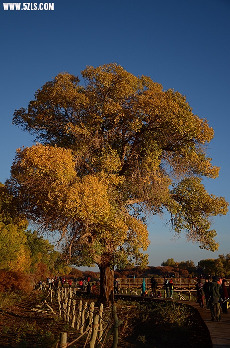DSC_0664.JPG