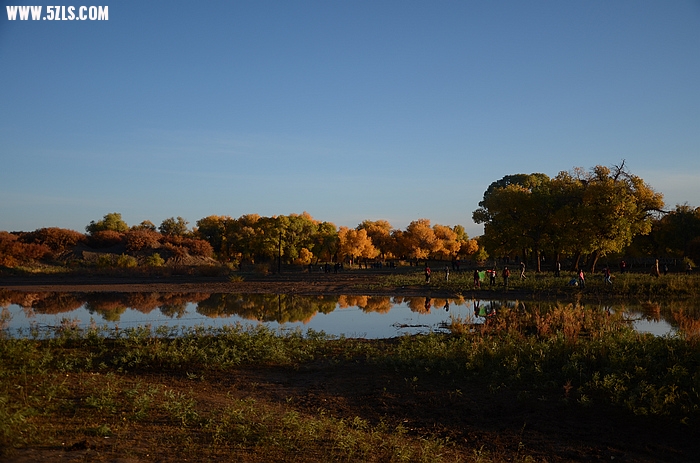 DSC_0667.JPG