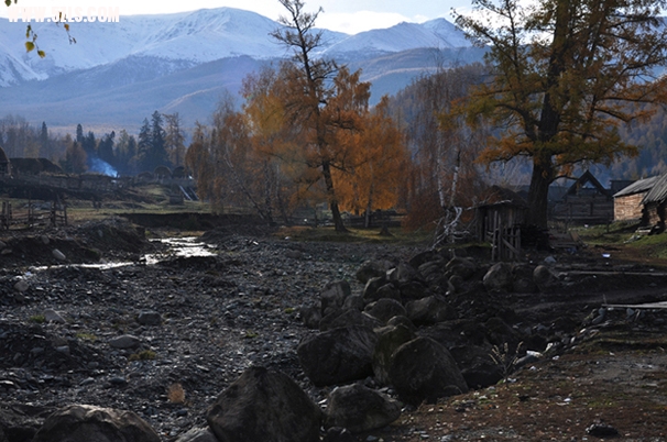 DSC_0184.jpg
