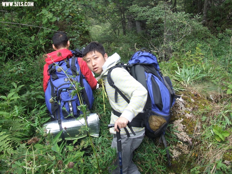 DSCF8694_С.JPG