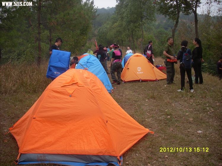 SL380957.JPG