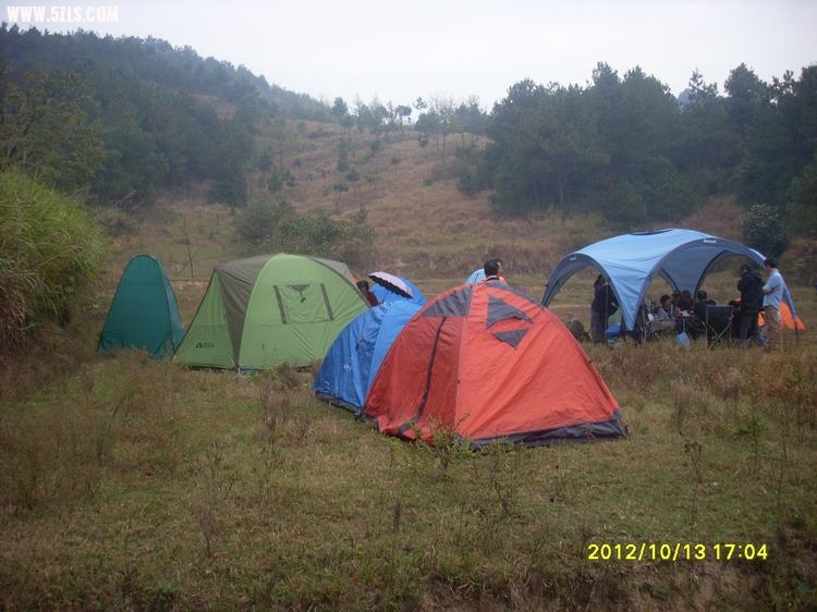 SL380996.JPG