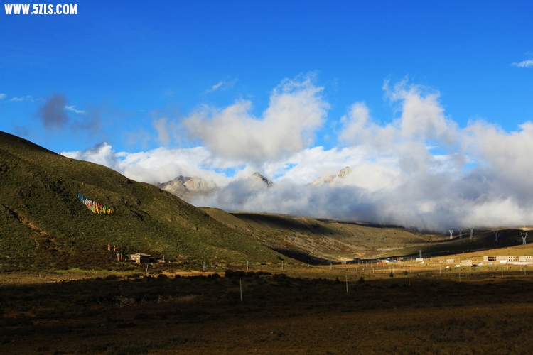 IMG_4262-1-1.jpg