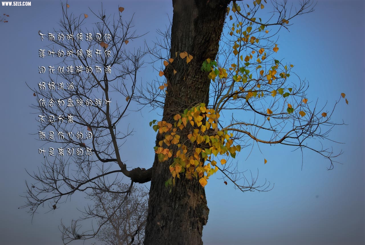 20111111-IMGP2208.jpg