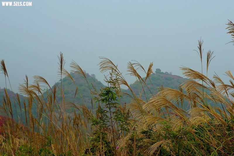 P1390166.jpg