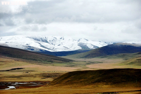 DSC_0253.JPG