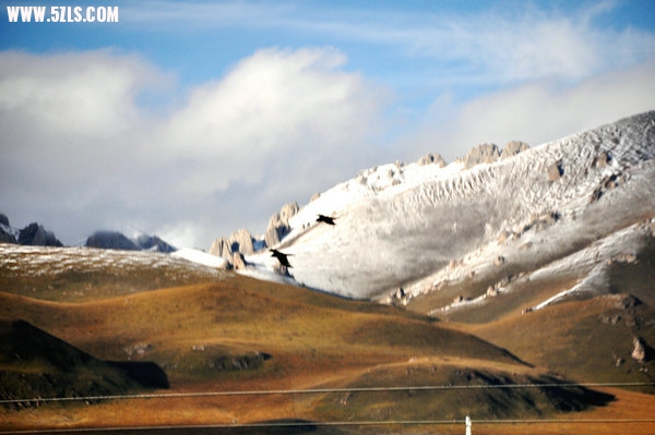 DSC_0345.JPG