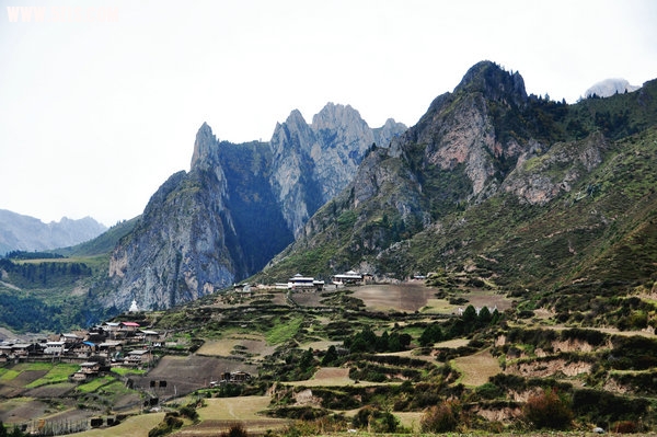 DSC_0676.JPG