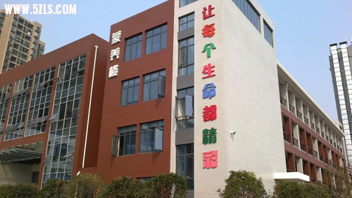 01.jpg