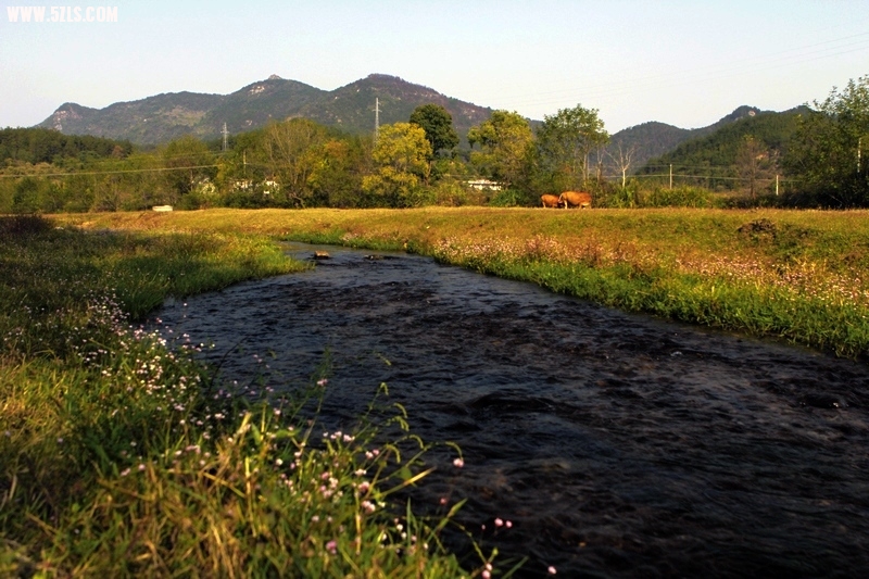 _MG_0722.jpg