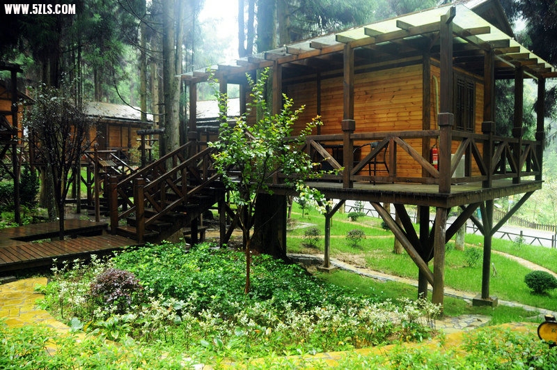 DSC_7617.JPG