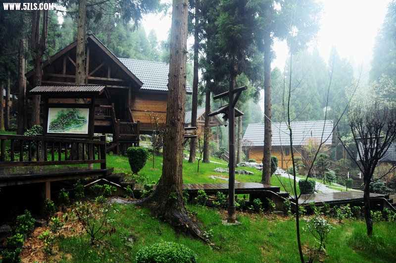 DSC_7644.JPG