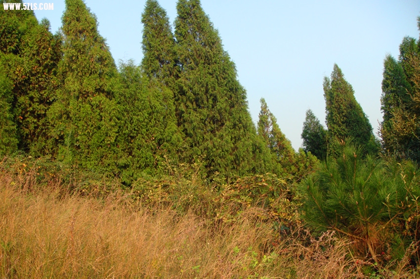 DSC08548_.jpg