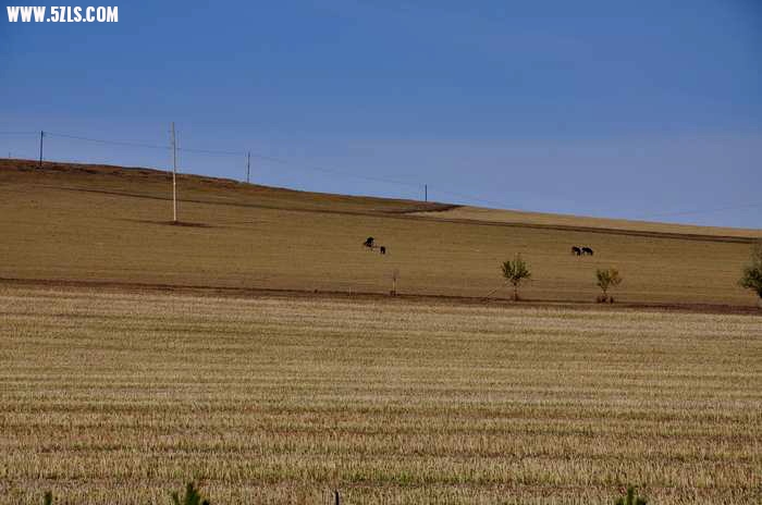 DSC_0460.jpg