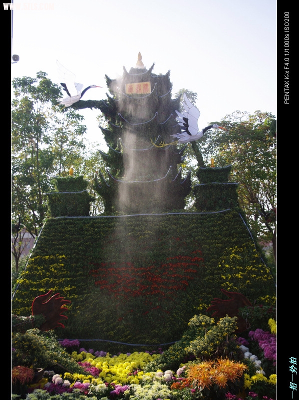 IMGP7652.jpg