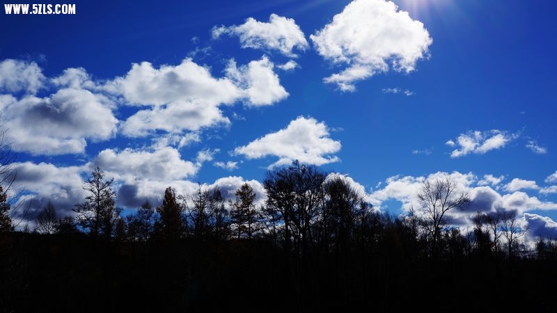 DSC01000.JPG