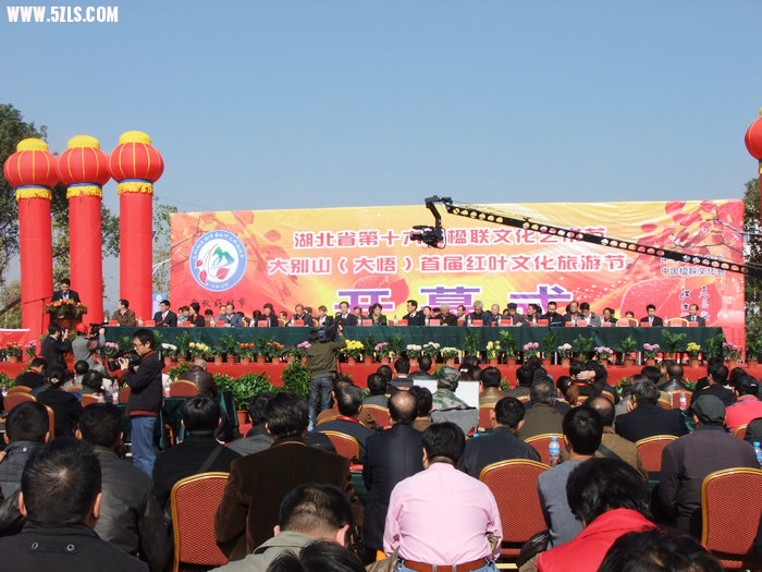 DSCF8167.JPG
