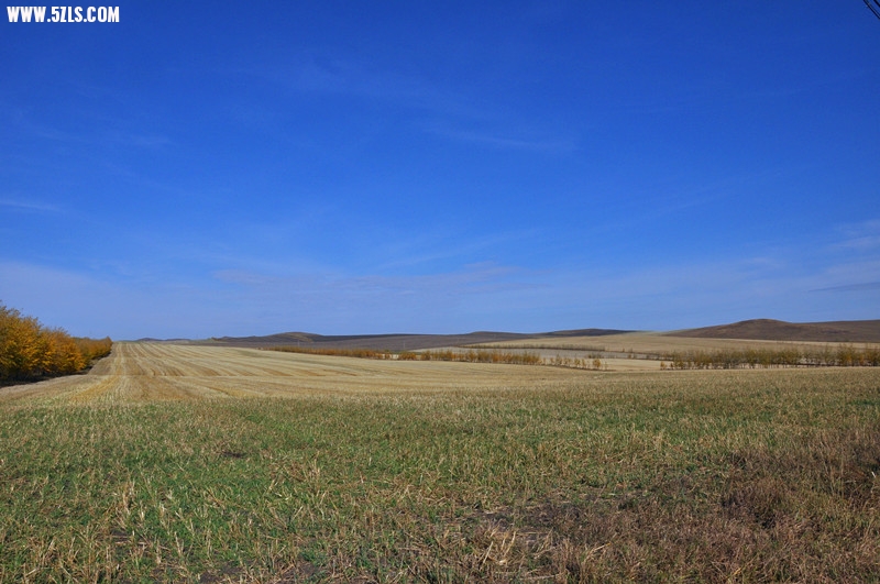 DSC_0793_.jpg