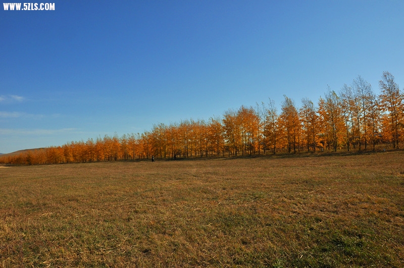 DSC_0796_.jpg