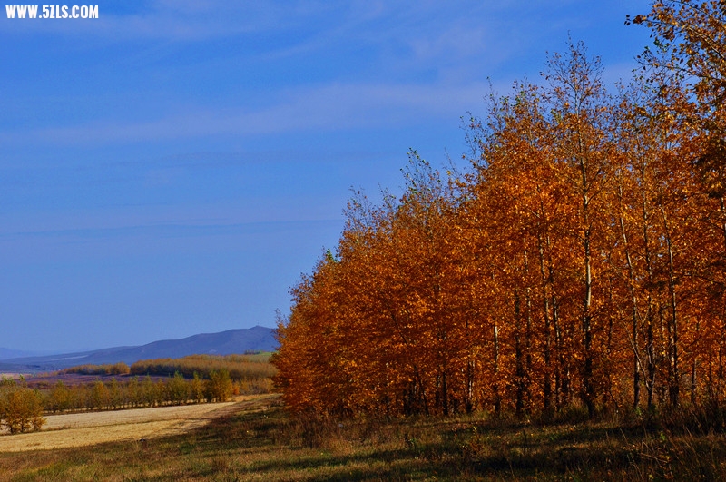 DSC_0804_3.jpg