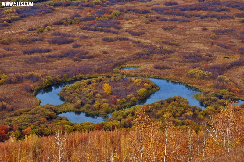 DSC_0847_.jpg