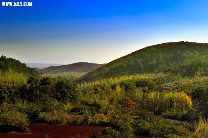 _DSC5687.jpg
