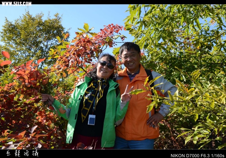 DSC_6108_conew1.jpg