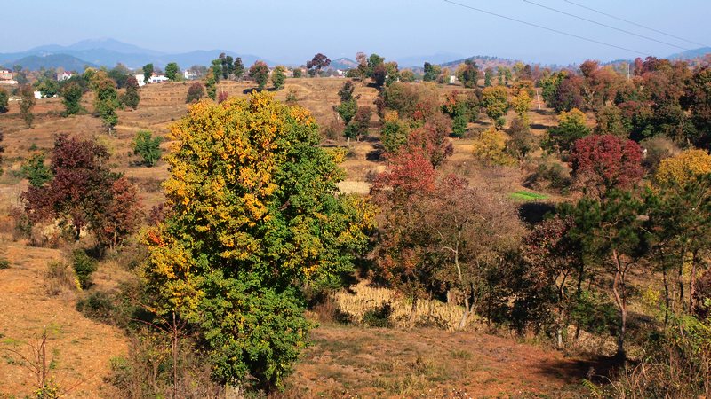 PB060025.jpg