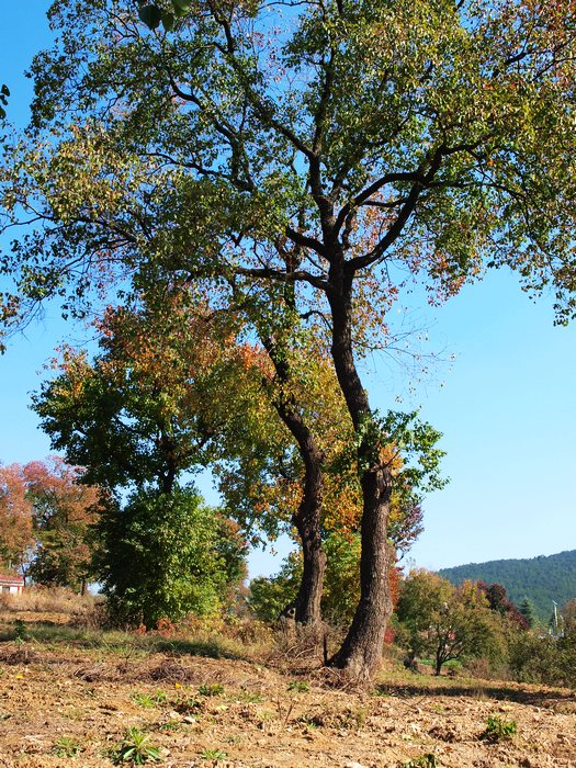PB060155.jpg