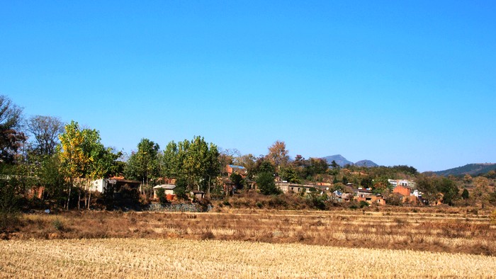 PB060361.jpg