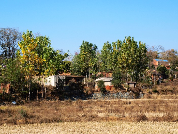 PB060363.jpg