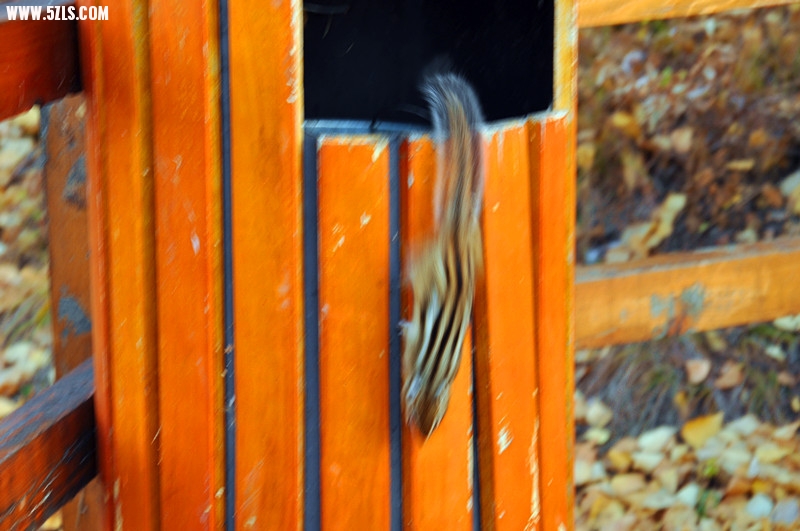 DSC_0925_.jpg