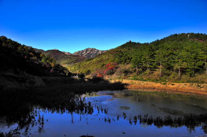 _DSC5733.jpg