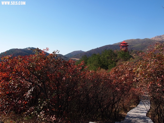 P1016408_С.JPG