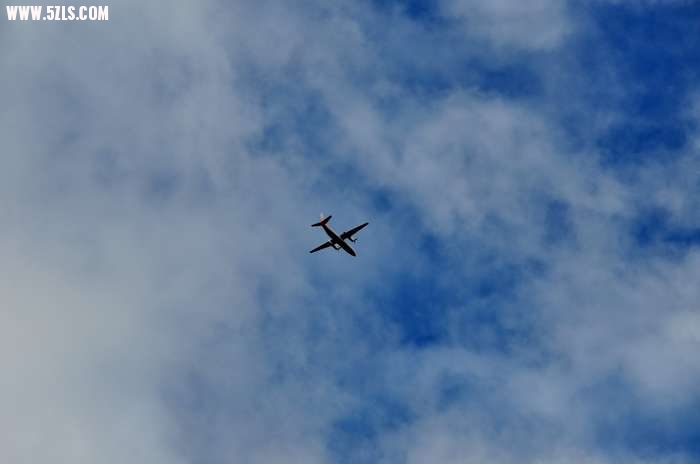 DSC_1170.jpg