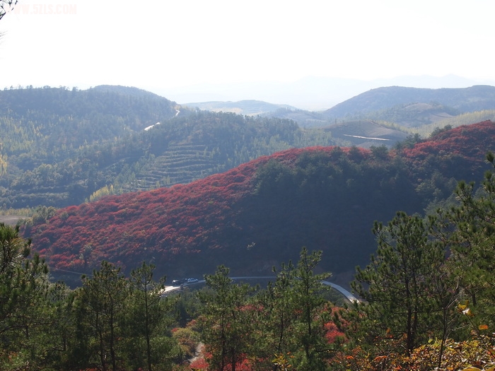 P1016413_С.JPG
