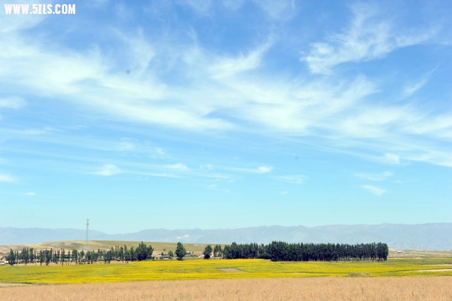 KXN_1087.JPG