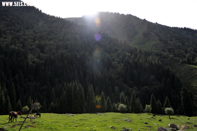 KXN_1131.JPG