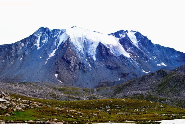 DSC_4664.JPG