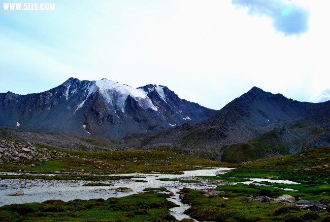 DSC_4663.JPG