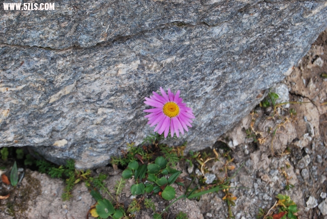 DSC_4669.JPG