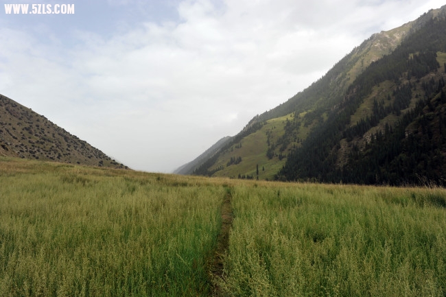 KXN_1341.JPG