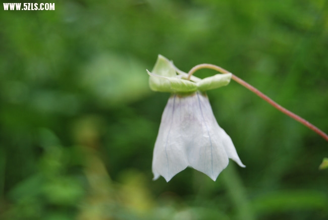 DSC_4708.JPG