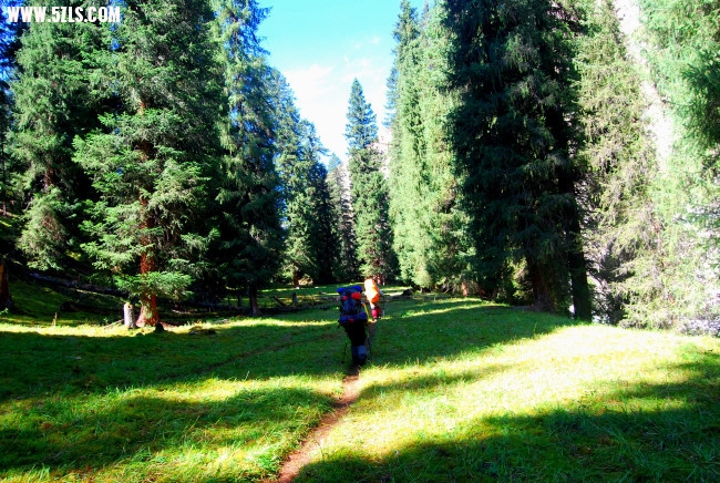 DSC_4809.JPG