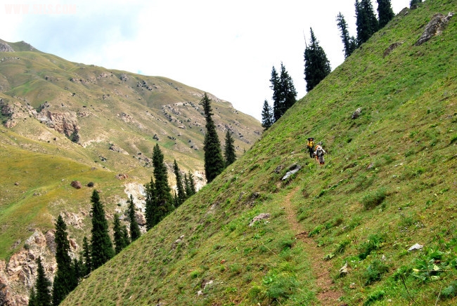 DSC_4815.JPG