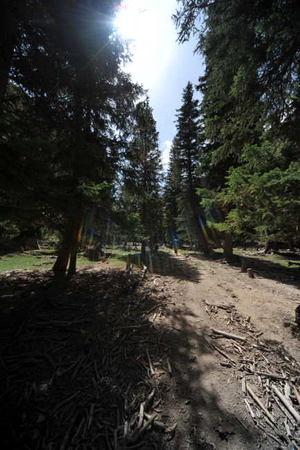 KXN_2271.JPG