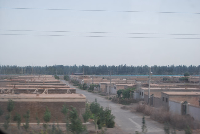 DSC_5170.JPG