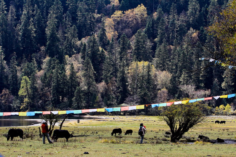 DPP_0017_СС.jpg