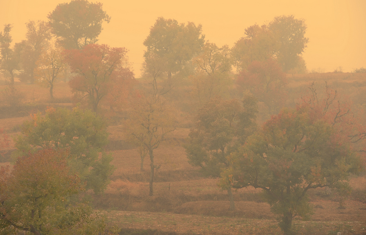 DSC_2852.jpg